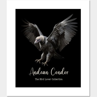 Andean Condor - The Bird Lover Collection Posters and Art